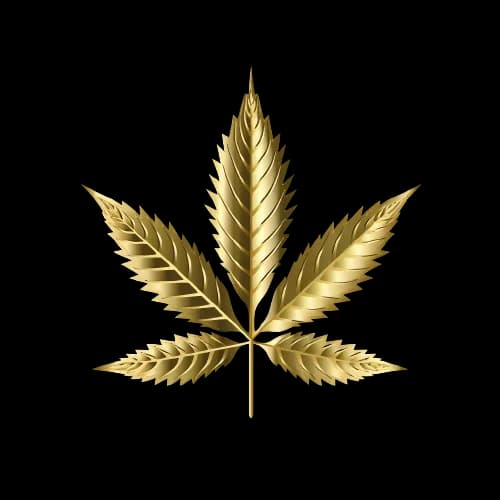 Logo Cannabis Club Hannover Anbauverein e.V.
